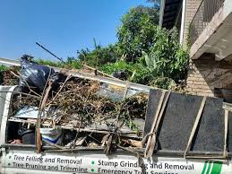 Professional Junk Removal Services in Milton, WA